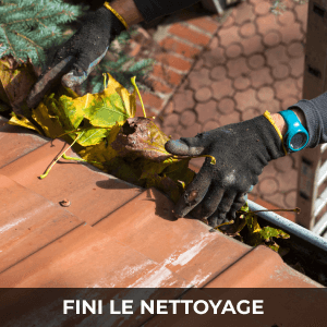 Nettoyage feuilles gouttière